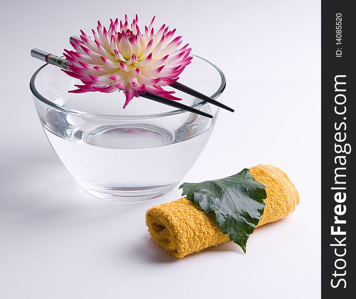 Pink flower floating on the Chinese sticks in bowl spa background