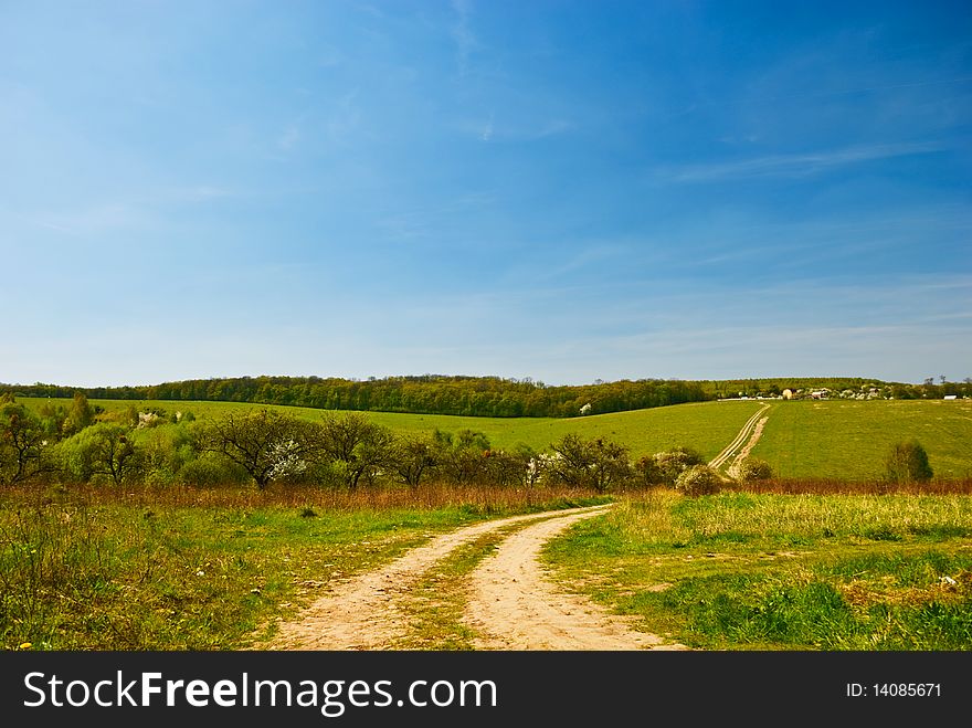 spring countryside road at meadow landscape