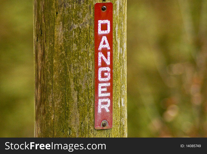 Danger warning sign on tree in forest, close up