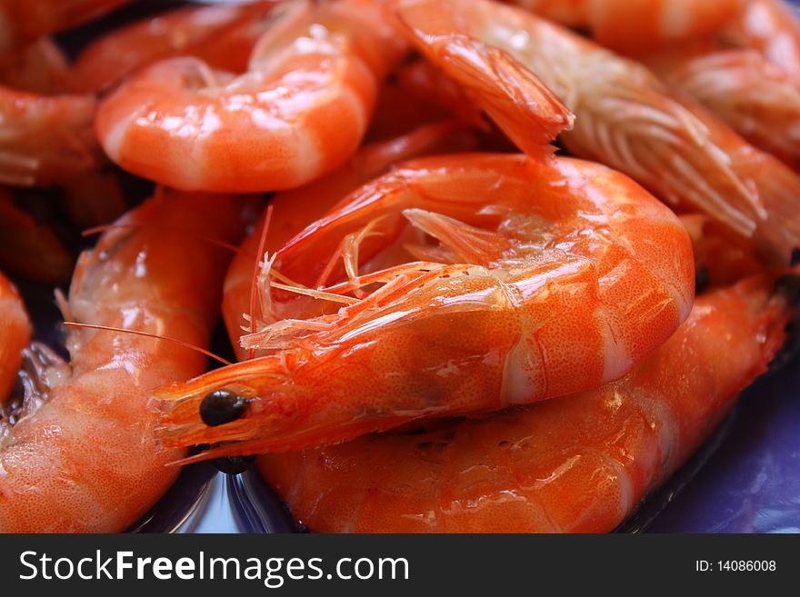 Delicious Boiled Shrimps Closeup