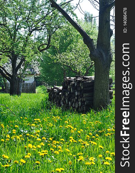 Pile of wood by tree in meadow, next to old cottage. Pile of wood by tree in meadow, next to old cottage.