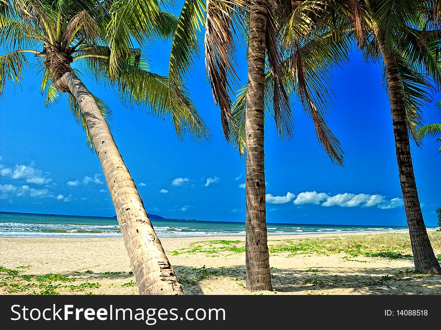 Sanya, Hainan, China's tropical beach scenery