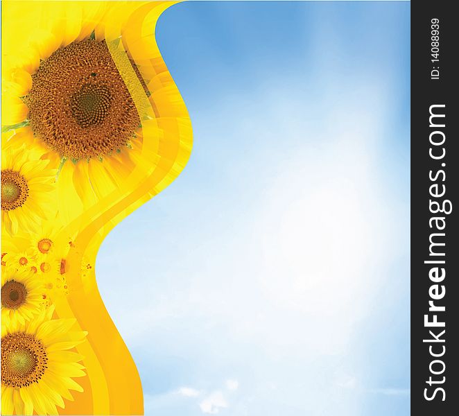 Sunflower Background