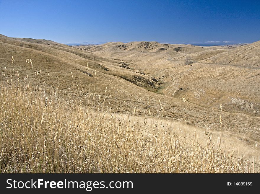 Grass covered hills during summer. Grass covered hills during summer