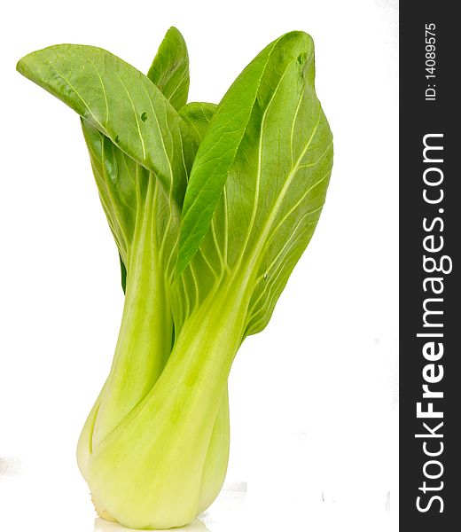 Spinach cabbage. Close up on white background