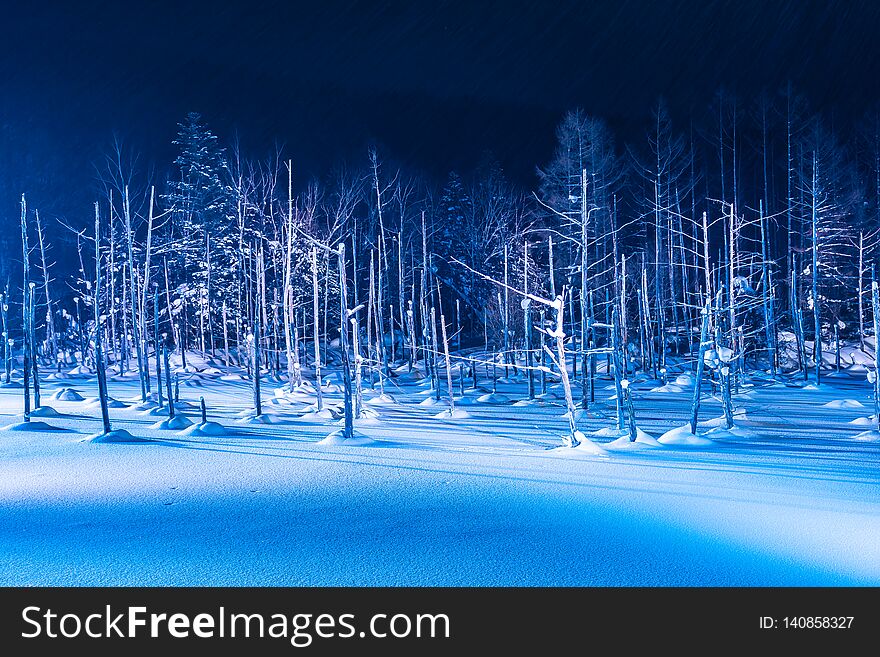 Beautiful outdoor landscape with blue pond river at night with light up in snow winter season