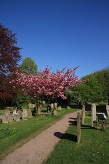 Springtime In The Churchyard Stock Images Springtime In The Churchyard Stock Images