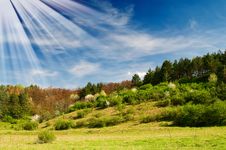 Free Wonderful Sunbeams And Exciting Blooming Trees. Royalty Free Stock Photo - 14095145