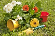 Flowers And Gardens Royalty Free Stock Photography Flowers And Gardens Royalty Free Stock Photography