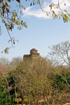 Mayan Ruins Royalty Free Stock Image Mayan Ruins Royalty Free Stock Image