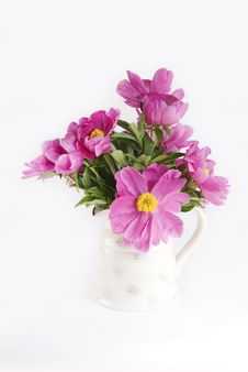 Pink Peonies In Vase Royalty Free Stock Images