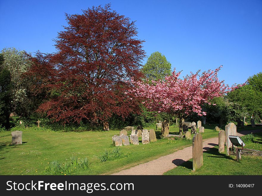 Beautiful spring blossoms in an English churchyard. Beautiful spring blossoms in an English churchyard