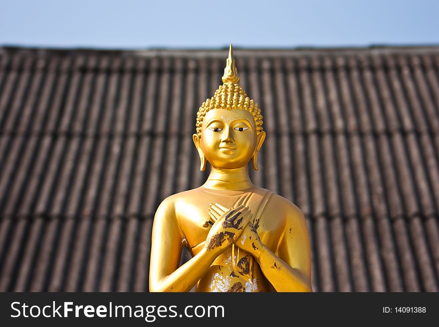 Budda Statue in the temple chiangmai thailand