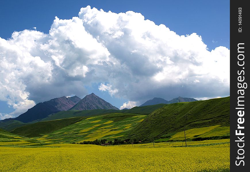 under a blue sky in China, Qinghai. under a blue sky in China, Qinghai