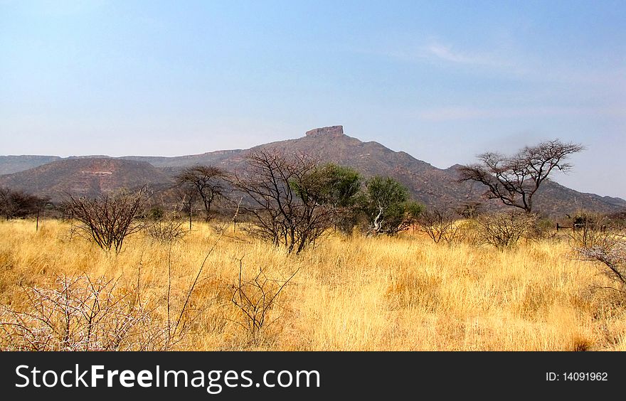 Dry season landscape in Namibia. Dry season landscape in Namibia