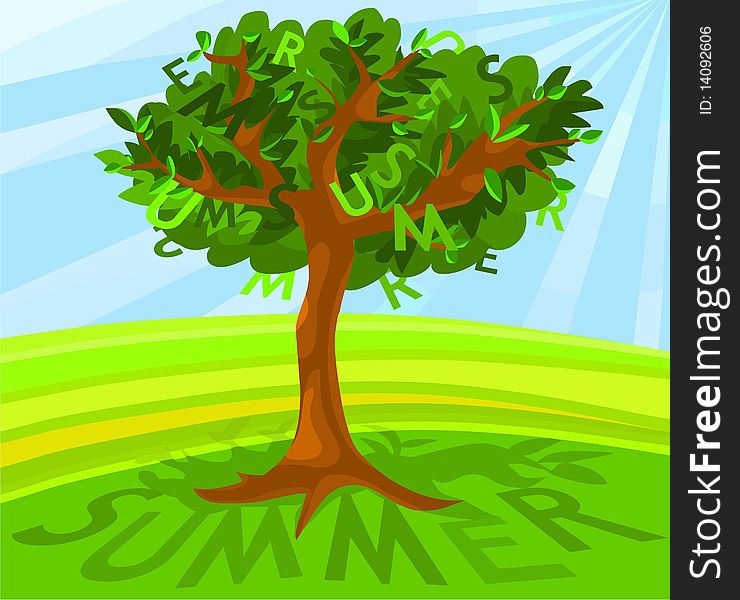 Picture of a summer tree