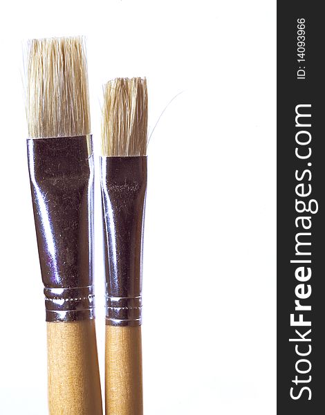 Two brushes on white background