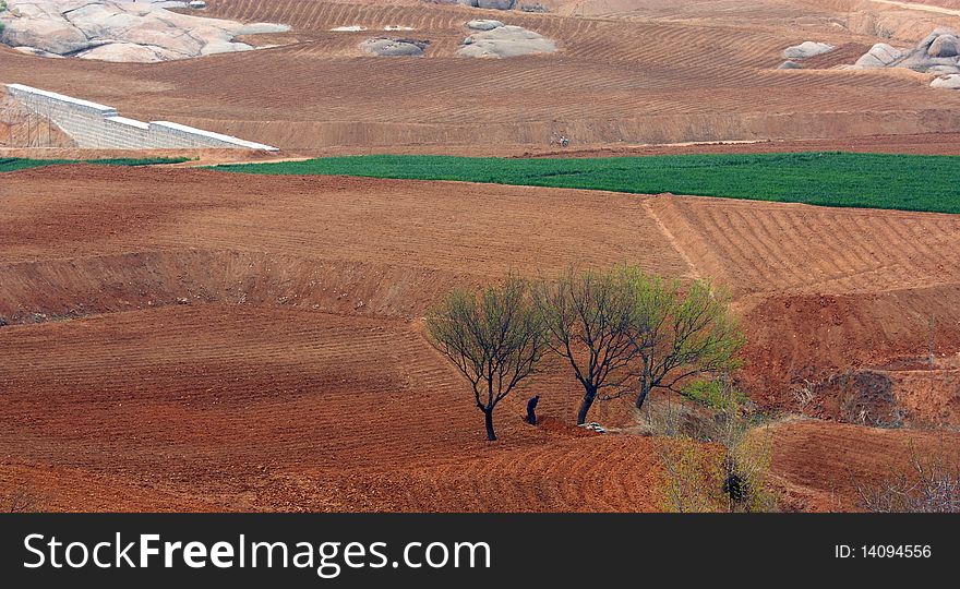 The fields located in the foothills in spring. The fields located in the foothills in spring.