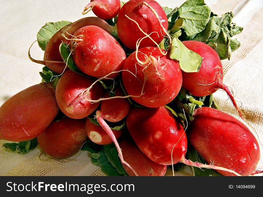 A bunch of red radishes with leaves and roots.