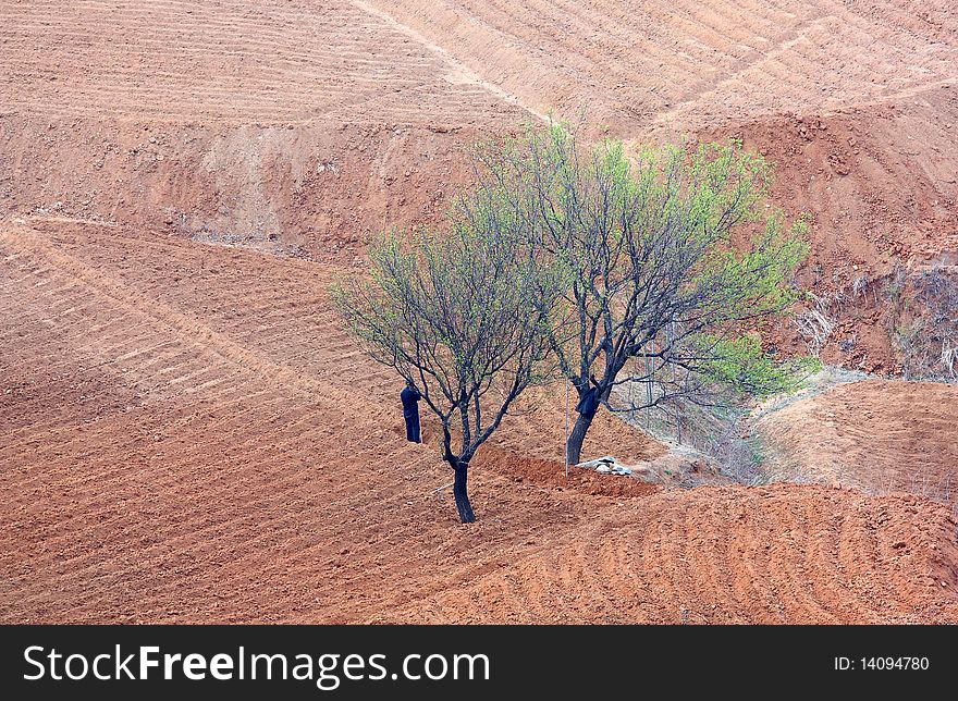 Spring comes, farmers began plowing.