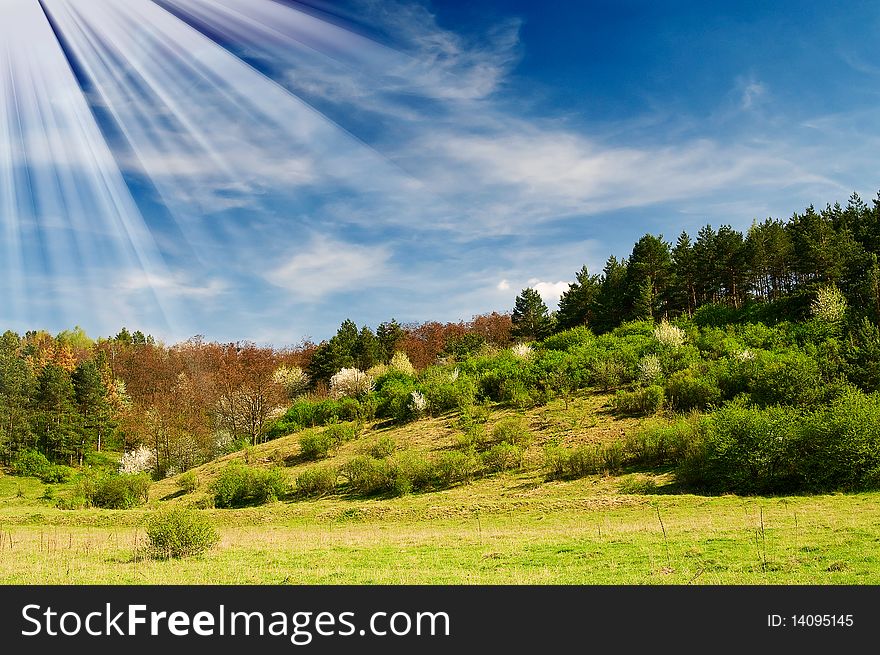 Wonderful Sunbeams And Exciting Blooming Trees.