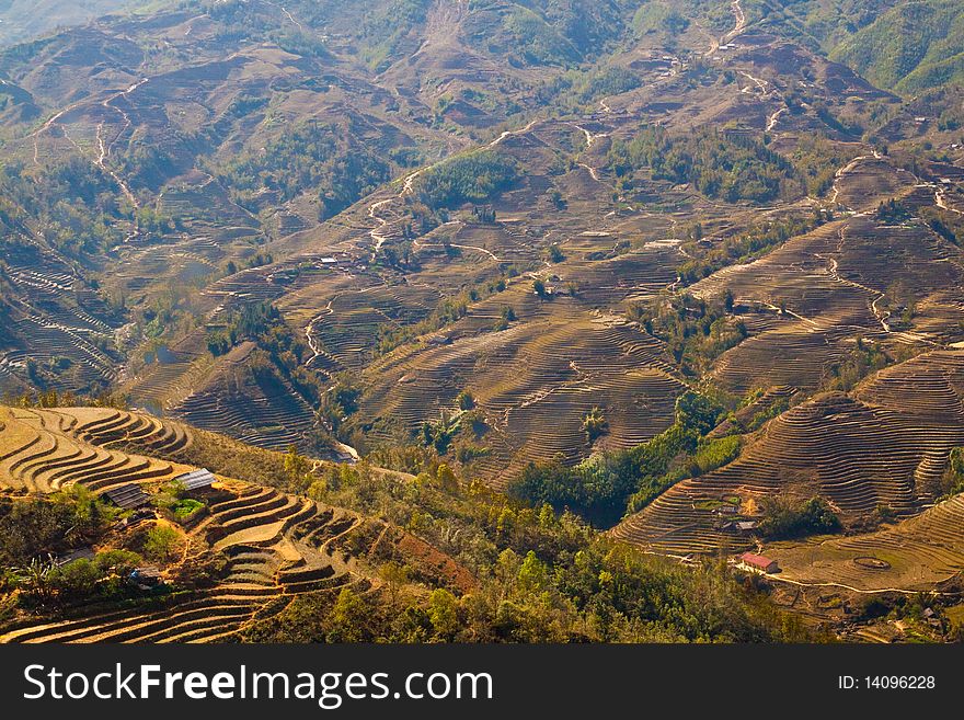 Stairways Rice Fields