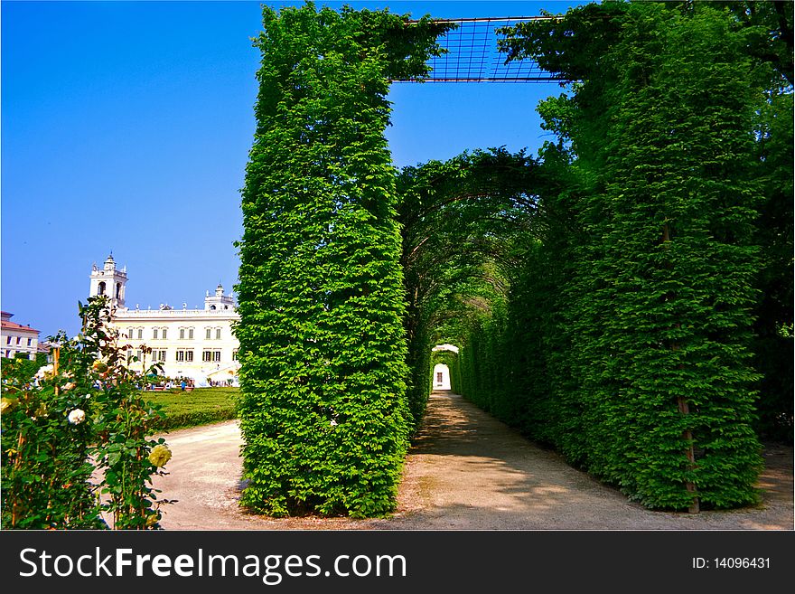 Green long tunnel in the Italian garden