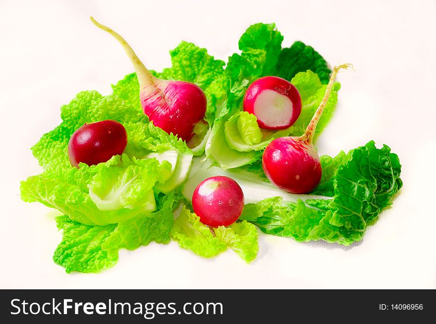 Redish and lettuce isolated on white. Redish and lettuce isolated on white