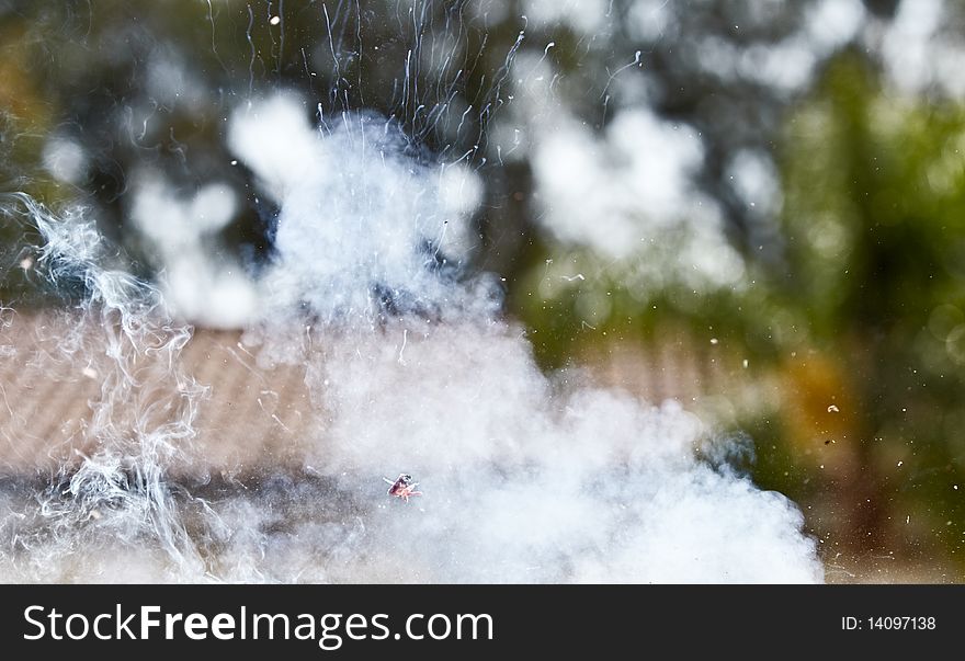 Firecracker explosion taken at high speed