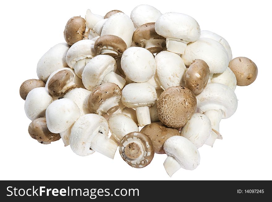 Pile of mushroom on a white background. Pile of mushroom on a white background