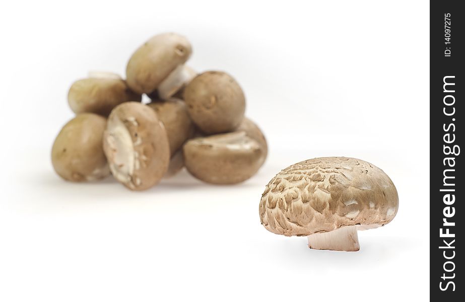 Pile of brown mushrooms on a white background
