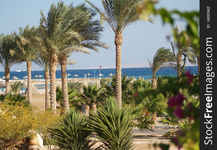 Beach on Red Sea. Hurgada. Egypt. Summer trip. Beach on Red Sea. Hurgada. Egypt. Summer trip.