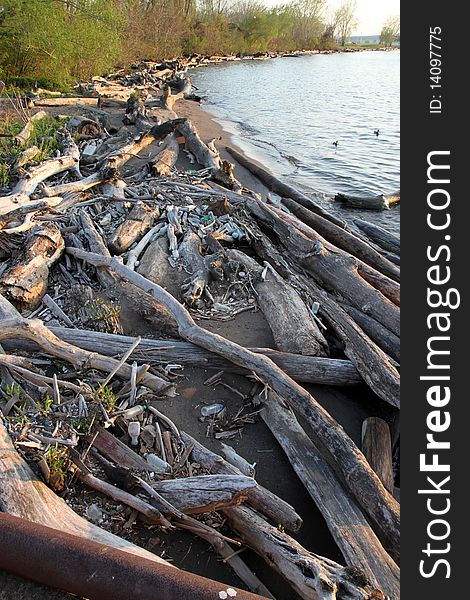 Shore line of Lake Erir littered with bottles. Shore line of Lake Erir littered with bottles