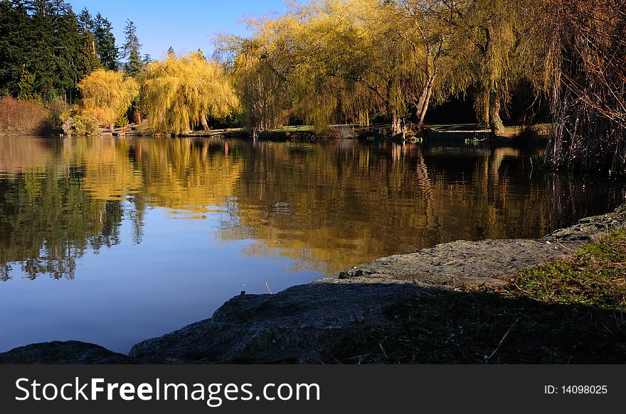 Lost Lagoon In The Morning