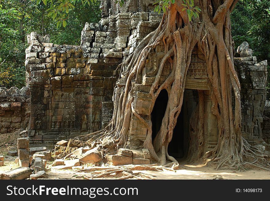 The ruins with big roots in Angkor,Cambodia