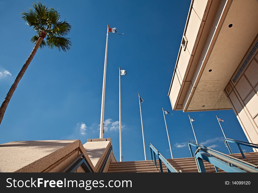 View of Flags at Downtown Tampa