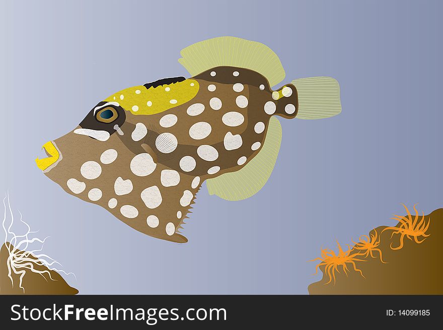 Illustration of a clown triggerfish with sea anemones on rocks and a blue background.