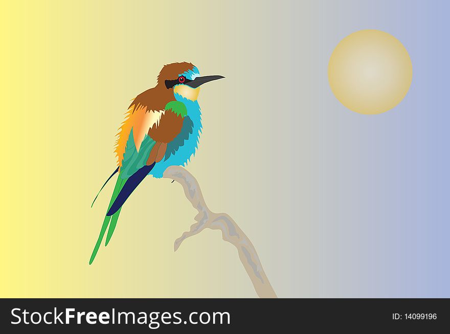 Illustration of a european bee-eater bird sitting on a branch with sun in the background.