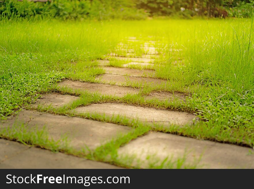 Random Pattern Of Stepping Stone Walkway On Rough Green Grass Lawn In The Garden, Under Sunlight