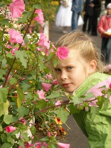 The Girl And The Flowers Royalty Free Stock Image The Girl And The Flowers Royalty Free Stock Image