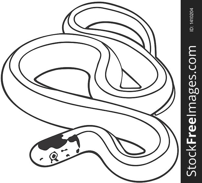 Smooth high resolution illustration of snake