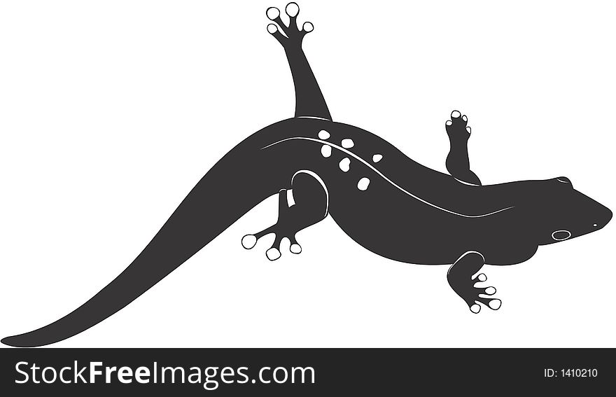 Smooth high resolution illustration of a lizard. Smooth high resolution illustration of a lizard
