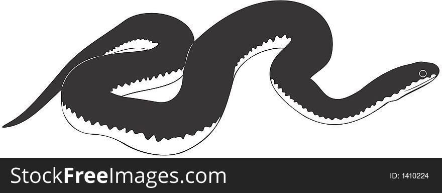 Smooth high resolution illustration of snake