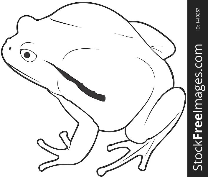 Smooth high resolution illustration of frog