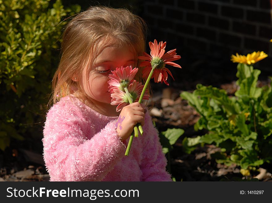 A little girl smelling the flowers she picked from her mother's garden. A little girl smelling the flowers she picked from her mother's garden.