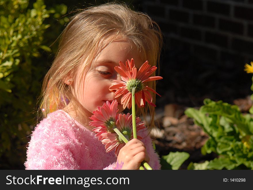 A little girl smelling the flowers she picked from her mother's garden. A little girl smelling the flowers she picked from her mother's garden.