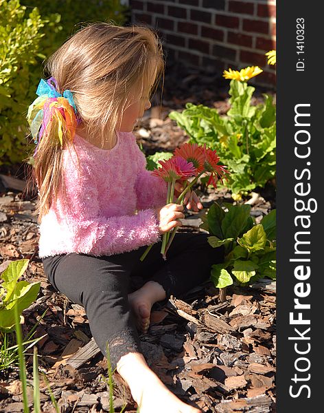 A little girl picking flowers from her mother's garden. A little girl picking flowers from her mother's garden