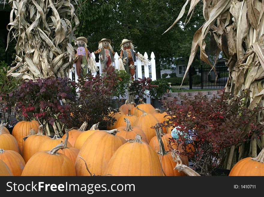 Pumpkins for sale at a farm market with scarecrows and cornstalks in the background.