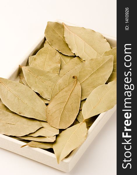 Bay leaves close-up, Studio Shot.