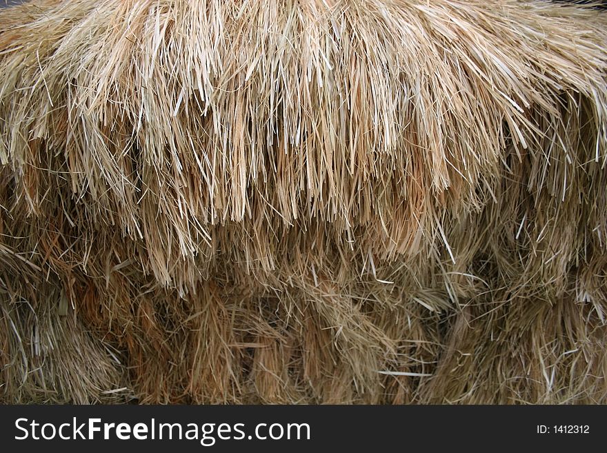 Thatch golden grass background house